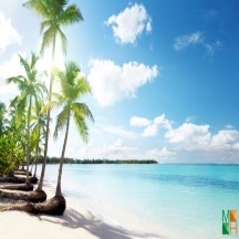 Tranh dán tường phong cảnh khổ lớn tại Hà Nội BE - 104